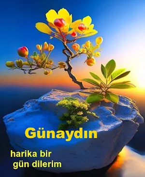 Günaydın, akşamlar ve geceler Screenshot 2