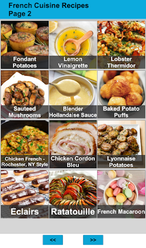120 French Cuisine Recipes Screenshot 1