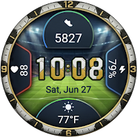 Football Fever: Matchday WF