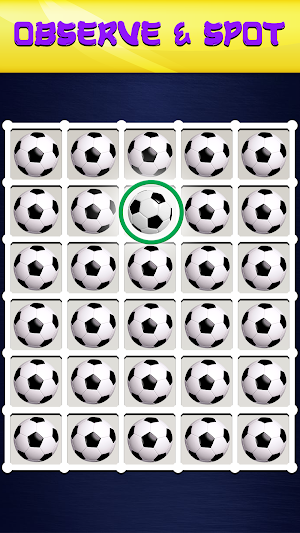 Find Odd Picture Puzzle Game Screenshot 2