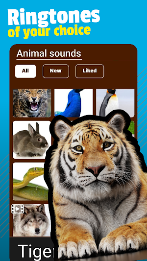 Animal Sounds Screenshot 1