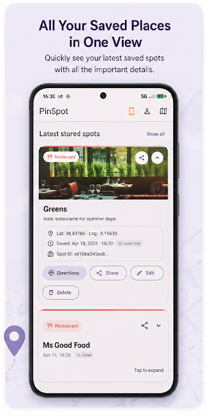 Pin Spot Screenshot 0