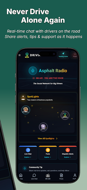 DRIVIA Screenshot 1