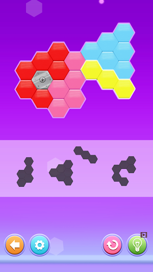 Hexa Puzzle: Block Hex Sorting Screenshot 3