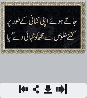 Tanhai Shayari Screenshot 1
