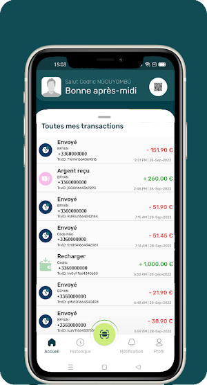 Ziguida Screenshot 2