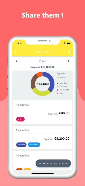 Expense Manager Screenshot 2