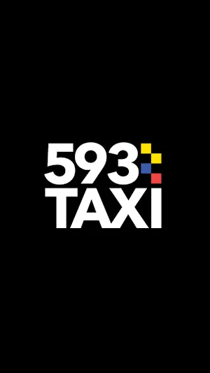 593Taxi Pasajero Screenshot 2