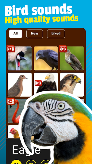 Bird Sounds and Ringtones Screenshot 0