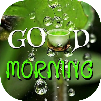 Daily Good Morning Wishes