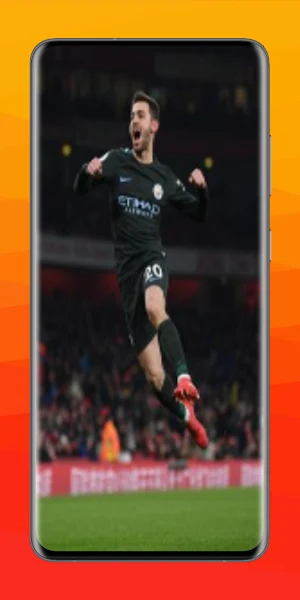 Bernardo 4K Wallpaper Screenshot 2