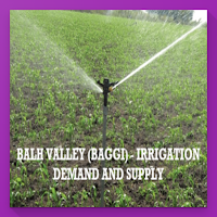 Irrigation Demands Baggi