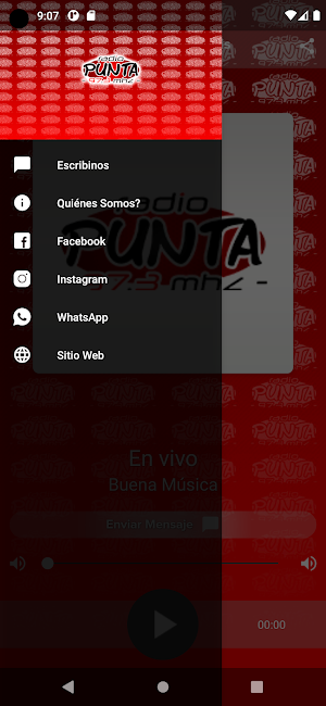 Radio Punta San Luis Screenshot 1
