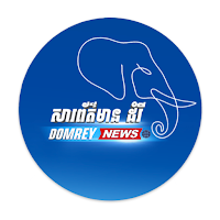 Domrey News