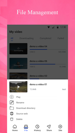 Video Downloader Express Screenshot 3
