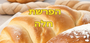 הפרשת חלה Screenshot 0