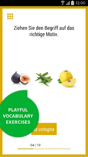 Picture Dictionary Italian Screenshot 2