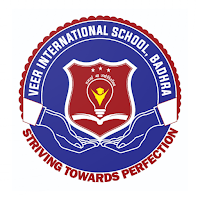 Veer International School