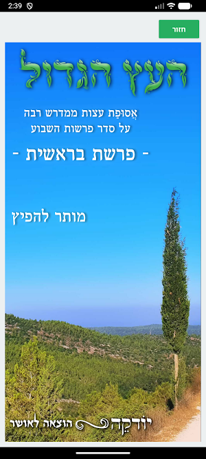 העץ הגדול Screenshot 1