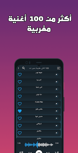 اغاني مغربية بدون نت+100 اغنية Screenshot 0