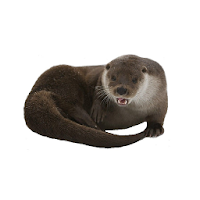 Animals world for kids