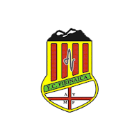 FC Pirinaica