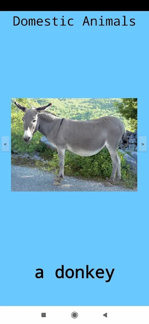 Animals ვისწავლოთ ცხოველები Screenshot 1