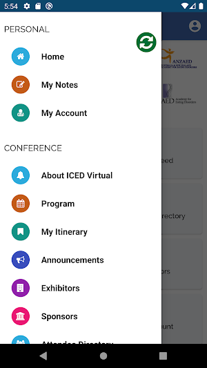 Virtual ICED 2020 Screenshot 1