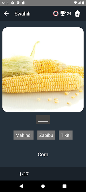 Swahili Language Tests Screenshot 3