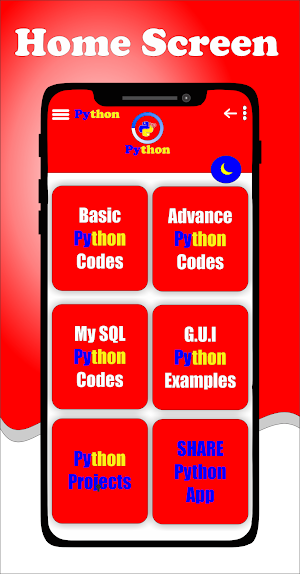Python Examples Code Screenshot 1