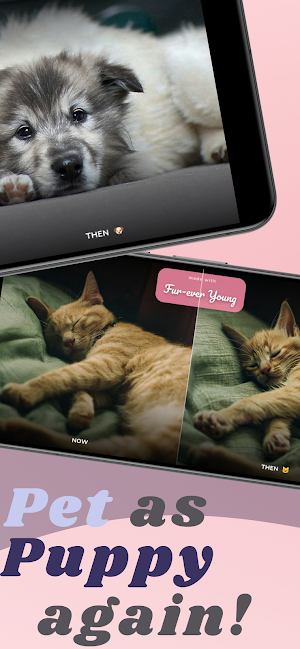 Fur-ever Young: Pet Baby Photo Screenshot 1