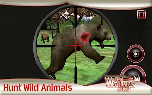 Wild Animal Hunt : Jungle Screenshot 2