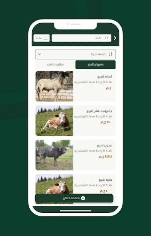 بورصة المواشي Screenshot 2