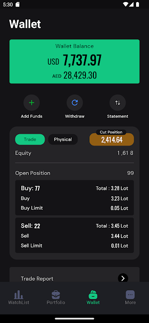 V Capital Screenshot 3