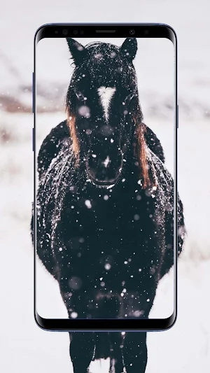 Horse Wallpapers Screenshot 0