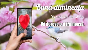 Romanian Morning & Night Greet Screenshot 0