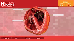Hibridvs Learning screenshot 6
