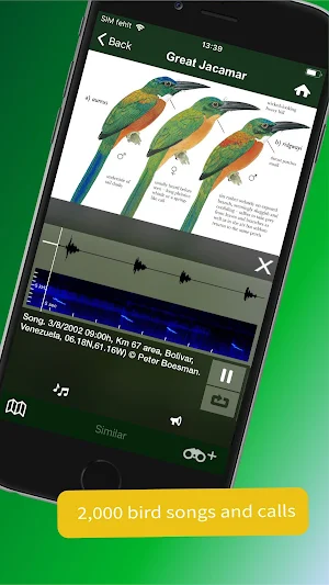 All Birds Guianas, Suriname, Guyana, French Guiana Screenshot 2