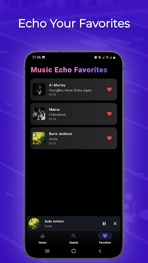 Music Echo - Echo Music Screenshot 3