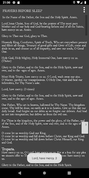 Orthodox Daily Prayer Screenshot 3