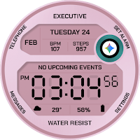 EXD199: Retro Pink Watch Face