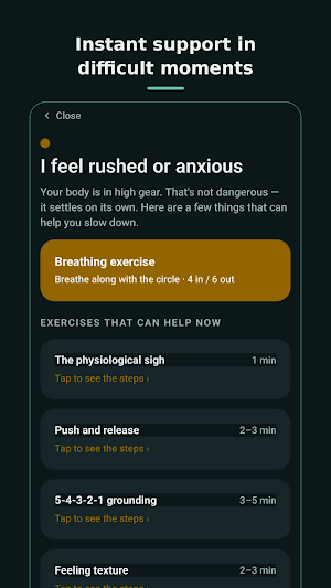 Karuma: Nervous System Calm Screenshot 1