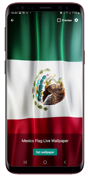 Mexico Flag Live Wallpaper Screenshot 1