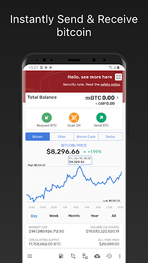 Bitcoin Testnet Wallet Screenshot 0