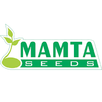 Mamta Seeds