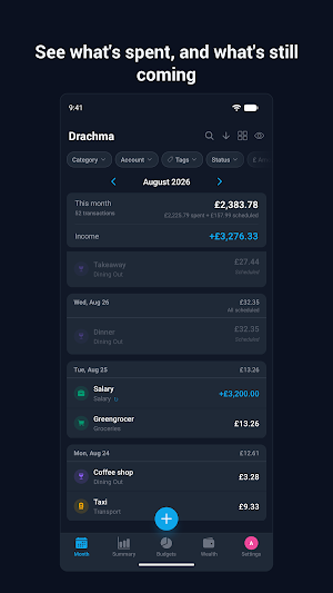 Drachma: Expenses & Net Worth Screenshot 1