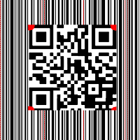 CodeScanner