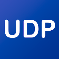 UDP Storm