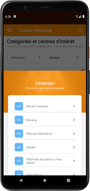 Cuisine Africaine et Recette Screenshot 3