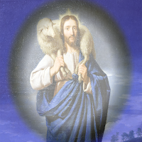 Shepherd Of Hermas Offline